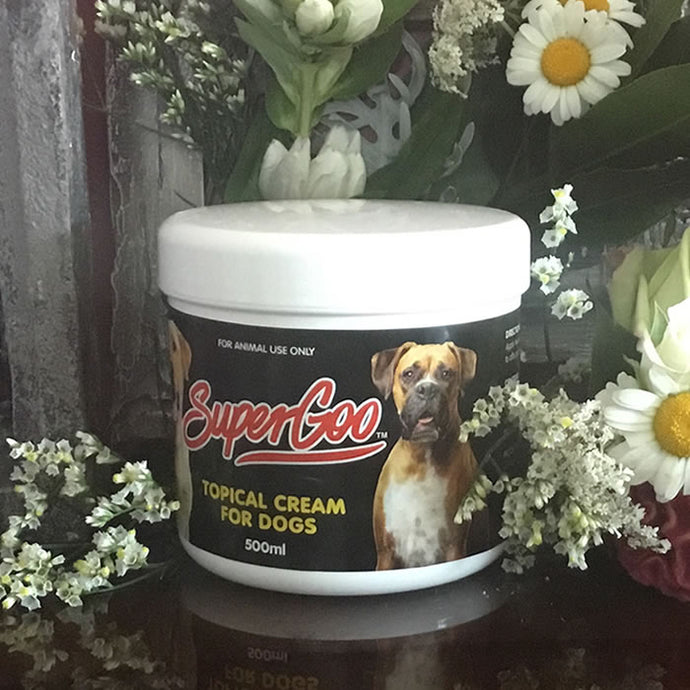 Equine Super Goo Canine Super Goo